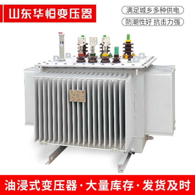 S13-10000/35杜集杜集杜集电力变压器